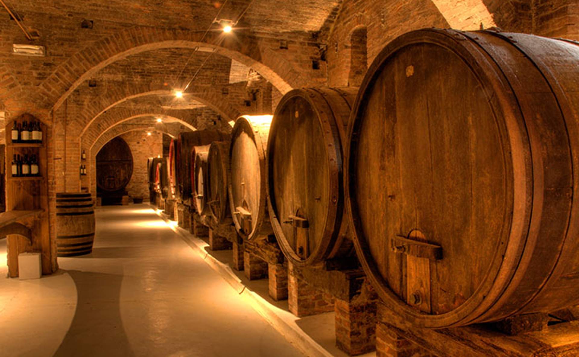 Secrets de fabrication du vin